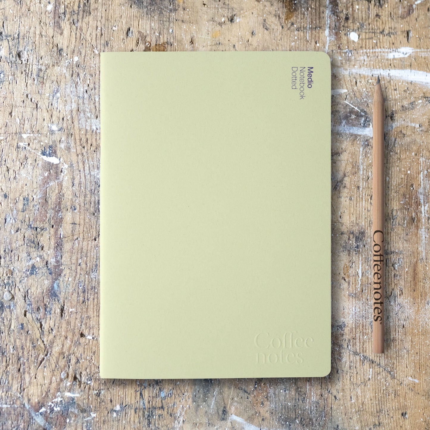 Kiwi Notebook (Dotted)
